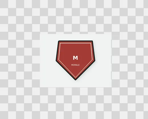 Image after background removal