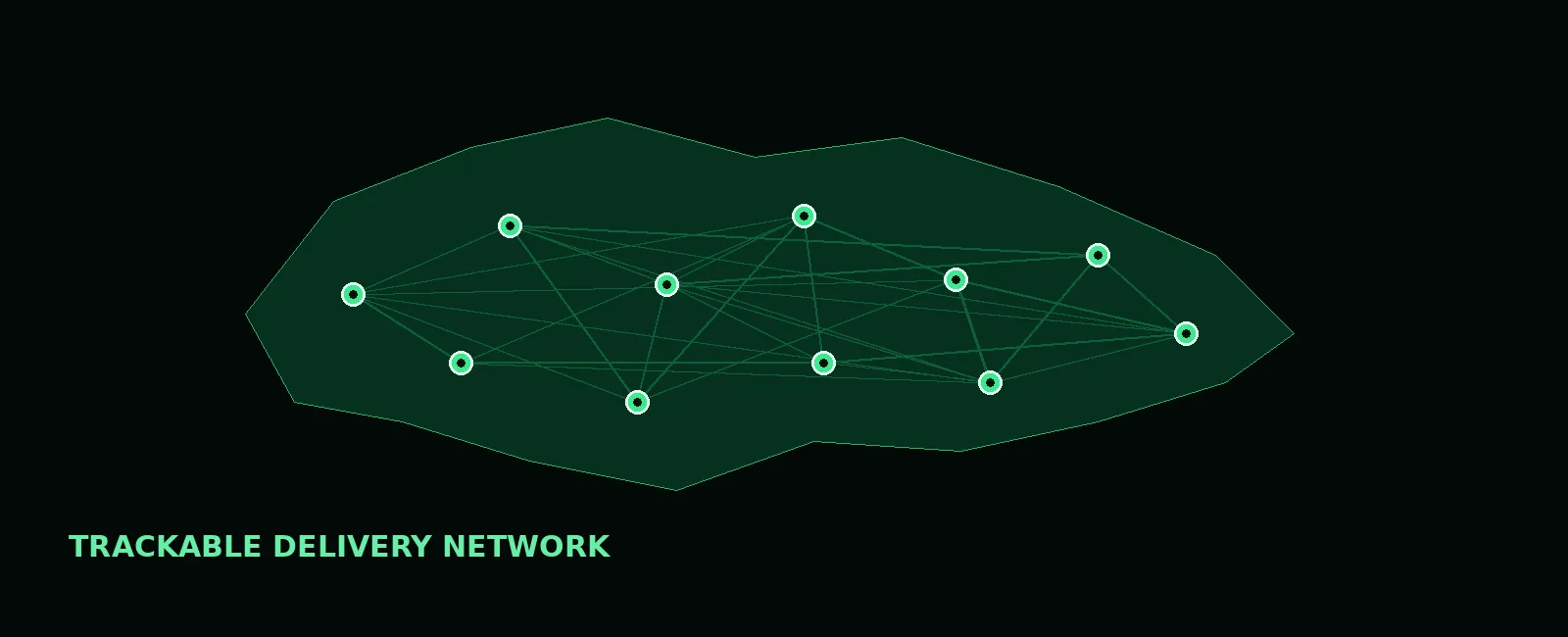 Stylized delivery network map